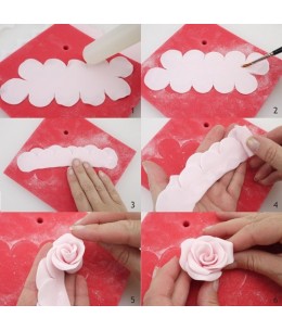 Stampo rosa