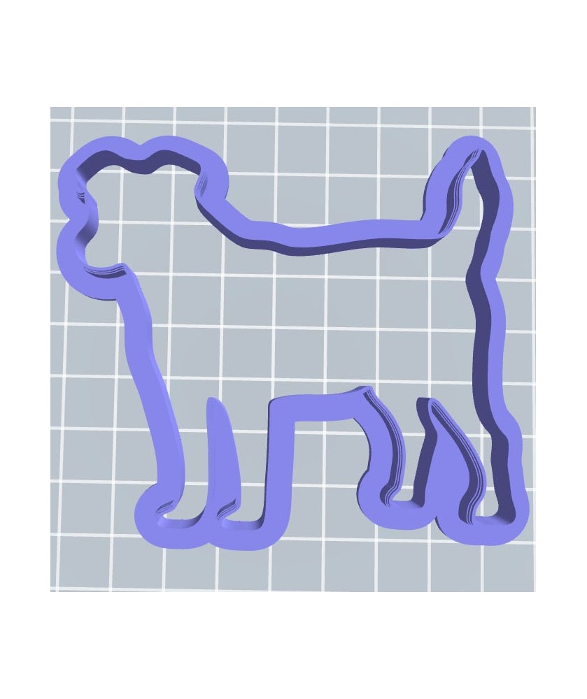 Jack Russel