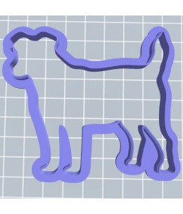 Jack Russel