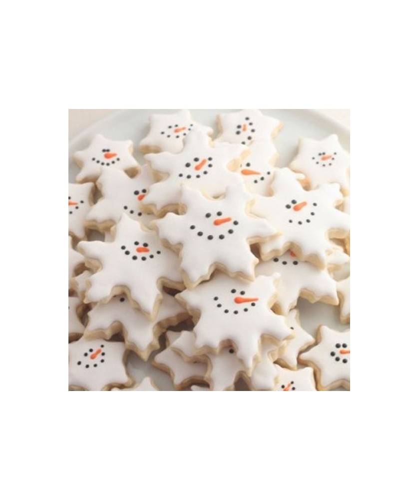 Fiocco di neve-3