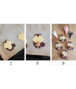 Set Scoiattolo Biscolor(3pz)