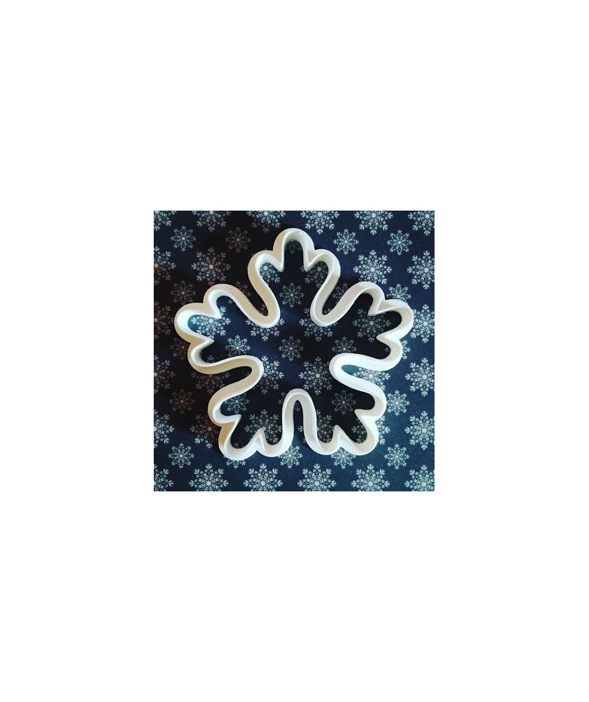 Fiocco di neve-1
