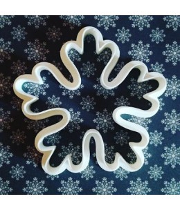 Fiocco di neve-1