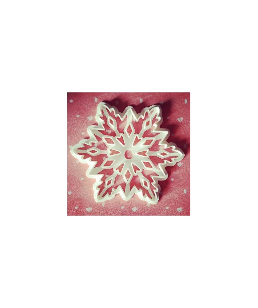 Fiocco di neve-d