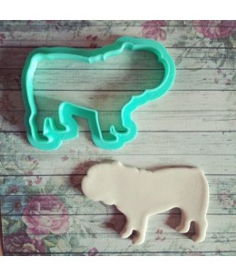 Bull-dog