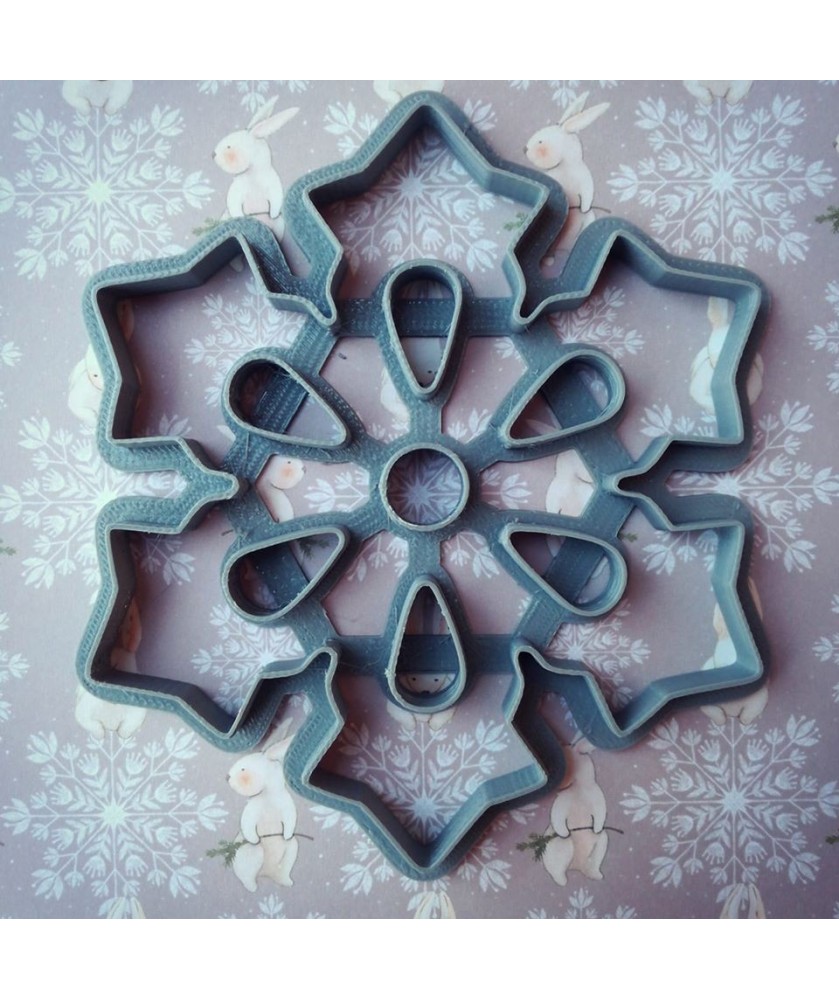 Fiocco di neve-c