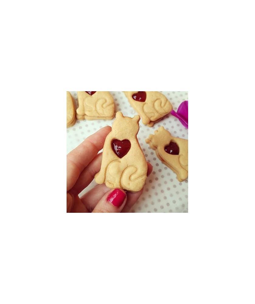 Gatto con Cuore