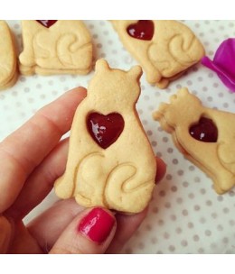 Gatto con Cuore
